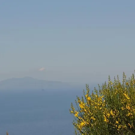 Le Ginestre Di Capri -